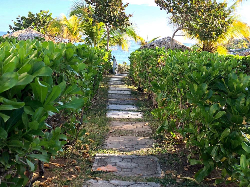 Path in Jamaica